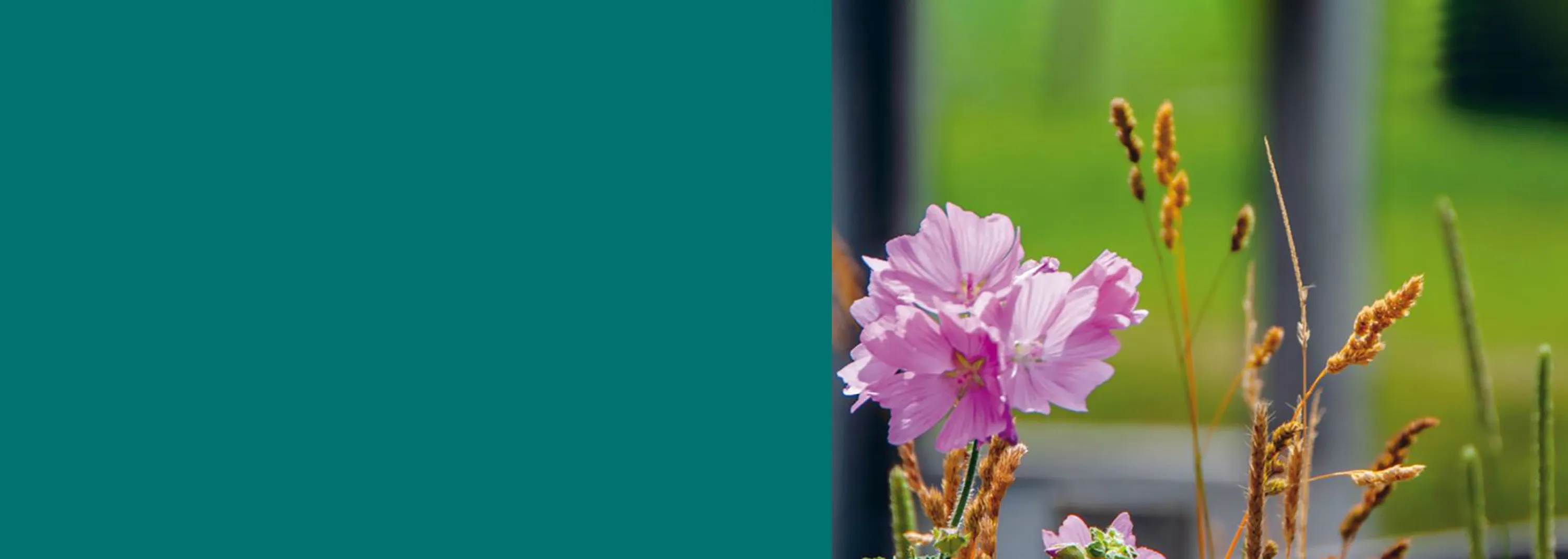 2023 - TZ Plakat Tag der offenen Tür